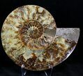 Split Agatized Ammonite - Crystal Pockets #21212-1